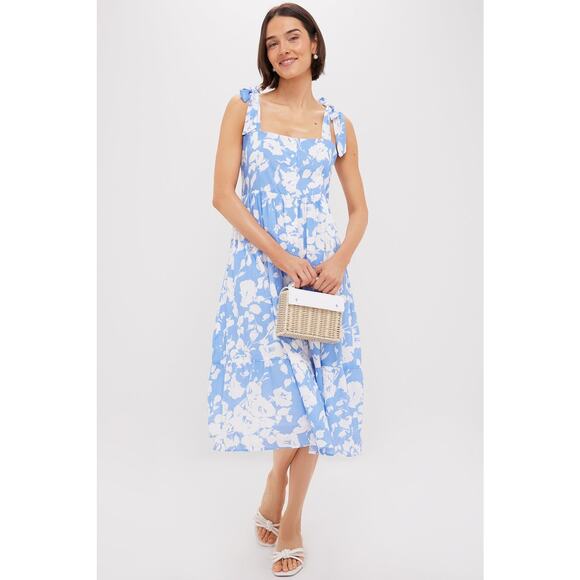 HYACINTH HOUSE Blue and White Floral Lupine Midi Dress Size XS NWT - Picture 4 of 8